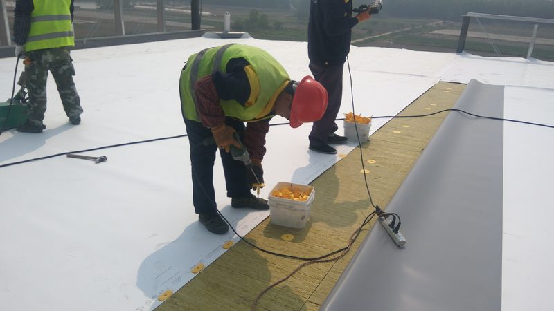 地下室防水补漏：揭秘价格背后的考量因素**